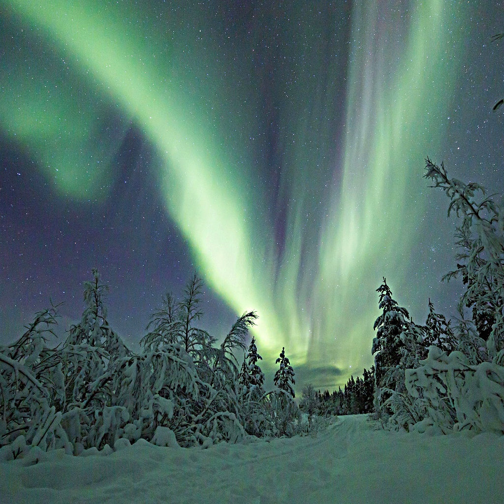 Unconditional Love Vibrational Energy Oral Essence