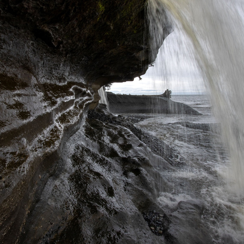 Vancouver Dark Cypress Signature Pure Soy Candle