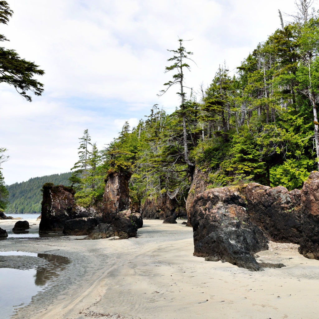 Vancouver Spruce Sea Signature Pure Soy Melt