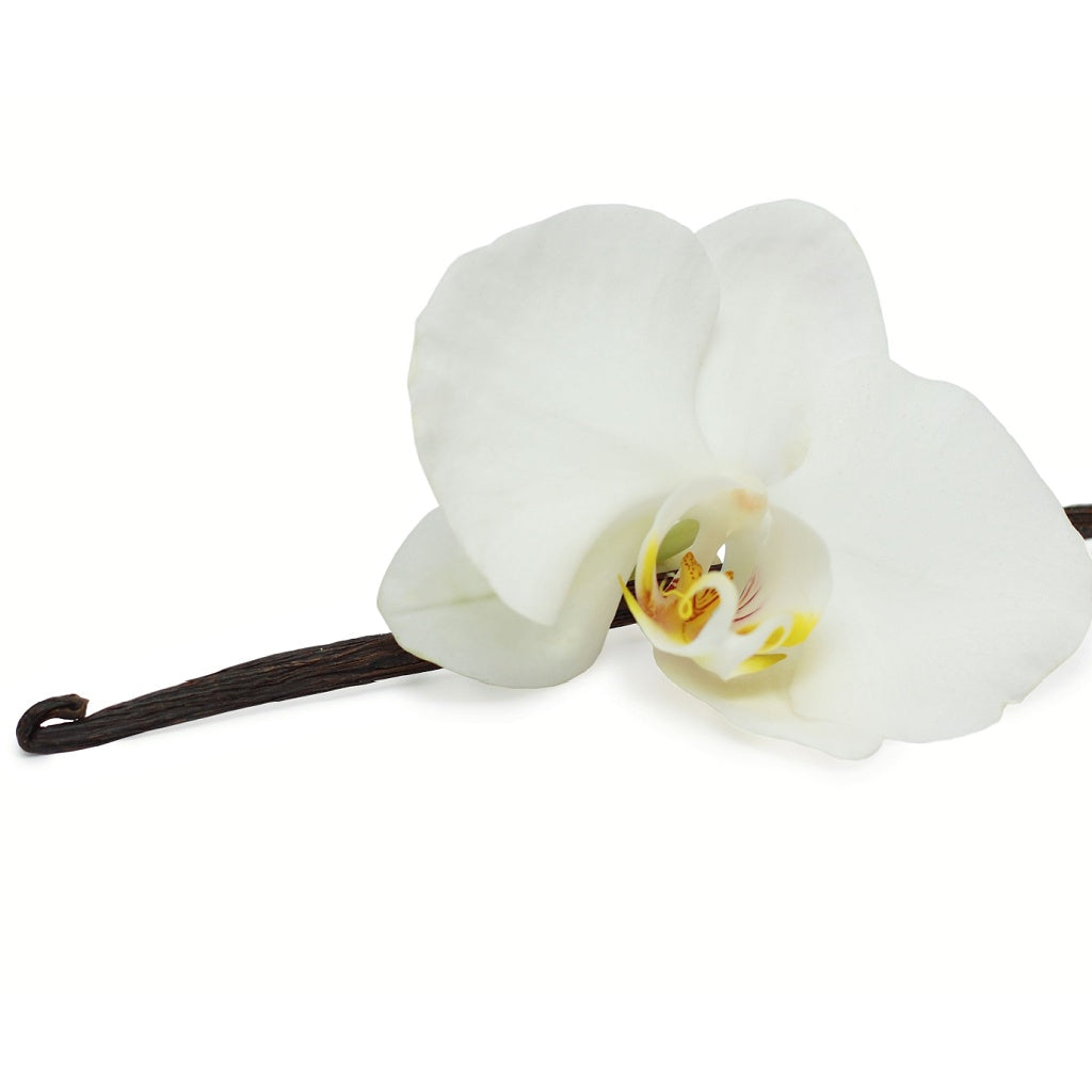 Gingerbread Luxury Reed Diffuser Refill