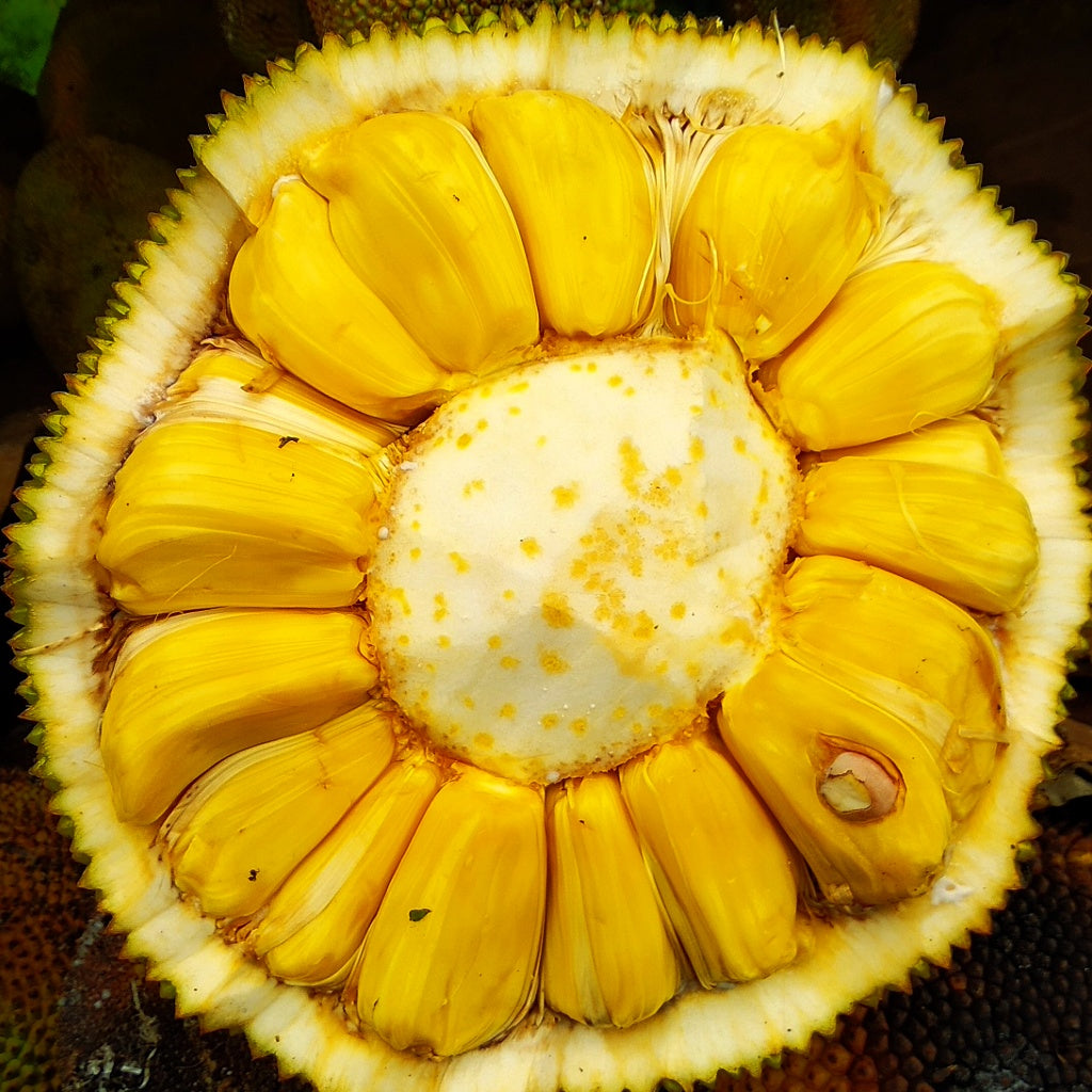 Silk Pearl Collagen Lustruous Night Treatment Essence