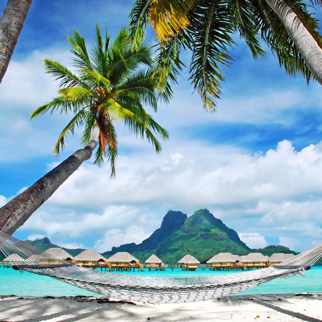 Watermelon Signature Hanging Diffuser