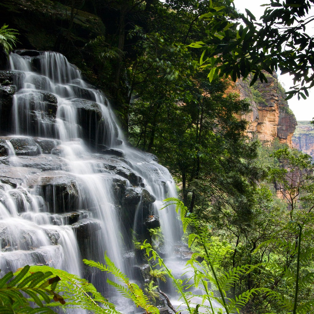 Australian Native Aroma Shower Steamer Tablet Gift Bag I 4 Tablets