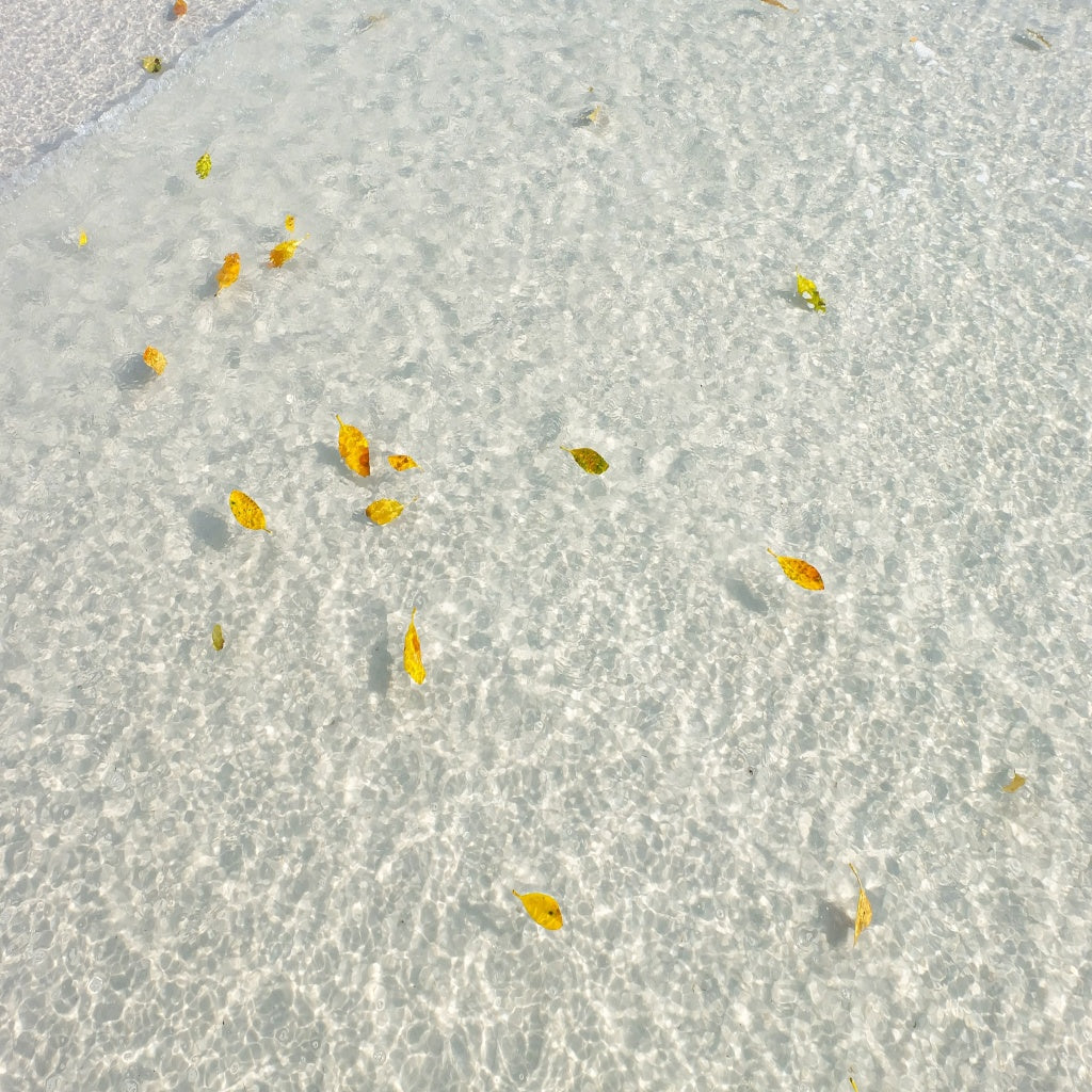 Hyams Beach Jervis Bay Australian Signature Diffuser Oil I Beach Getaway