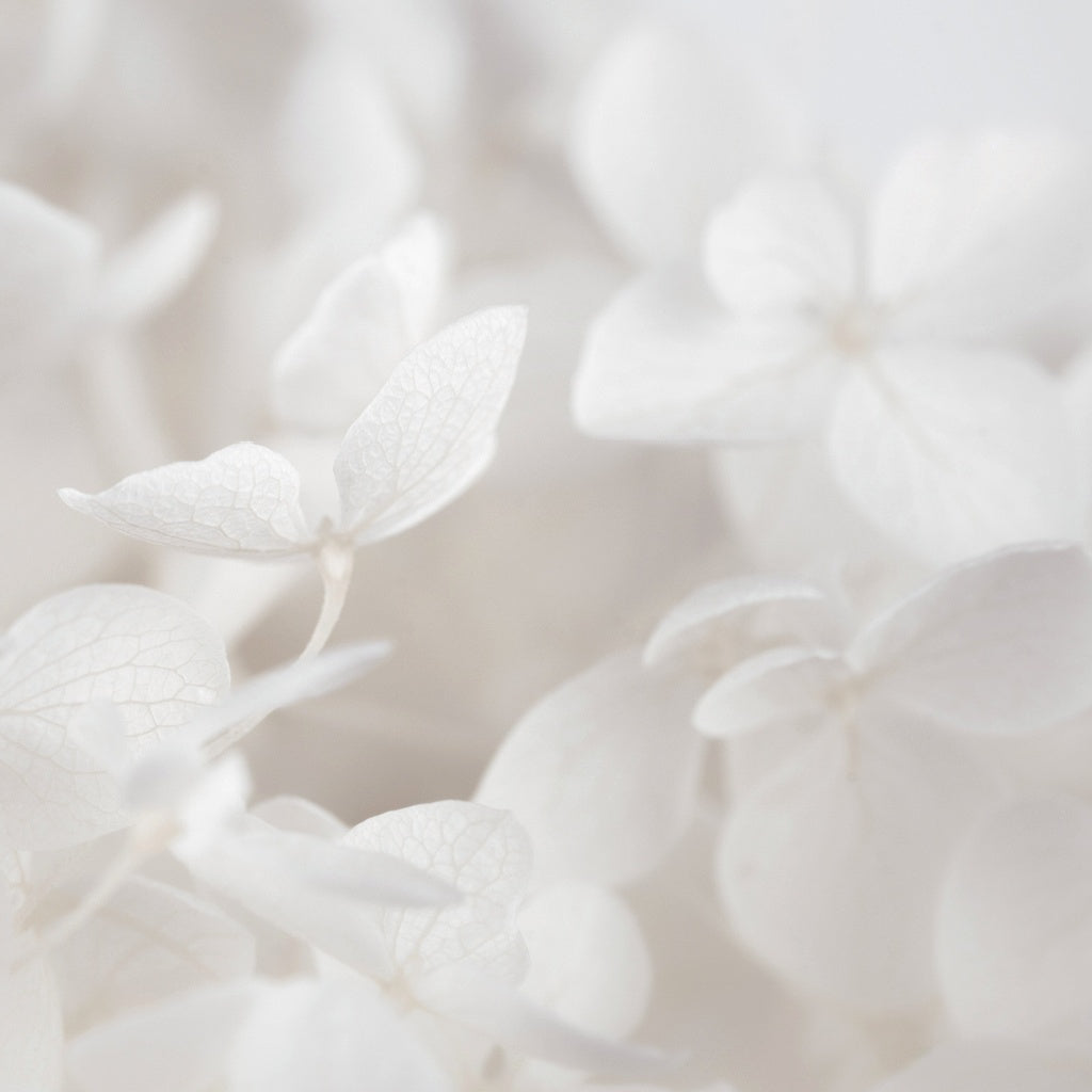 White Musk Signature Pure Soy Candle